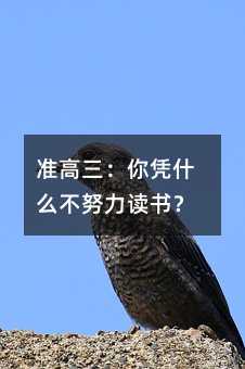 准高三:你凭什么不努力读书?