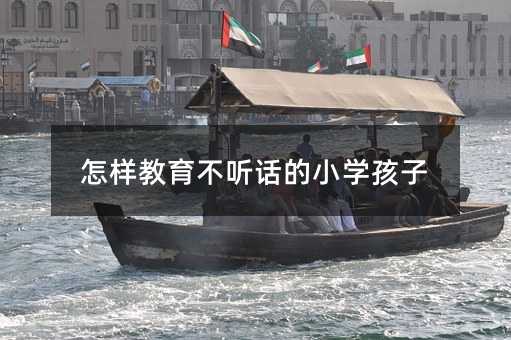 怎样教育不听话的小学孩子