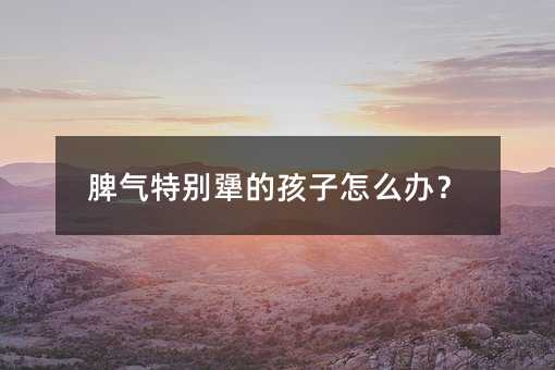 脾气特别犟的孩子怎么办?